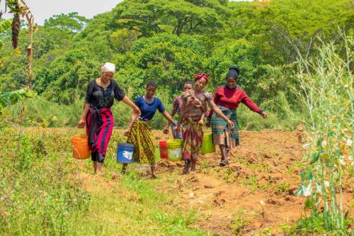 Fetching-water-in-songwe